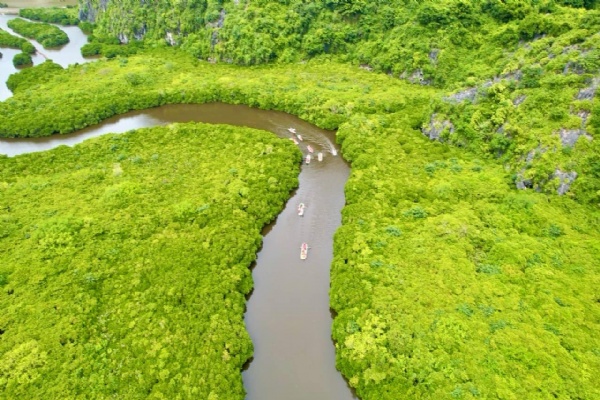 Kayaking in Lan Ha Bay - Mangroves Forest
